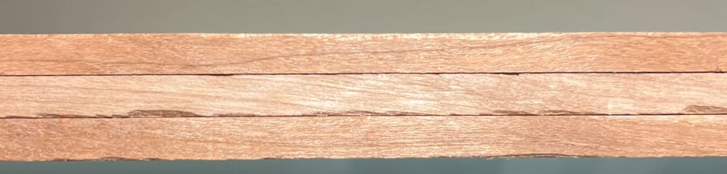 Maple edge view. maple edge